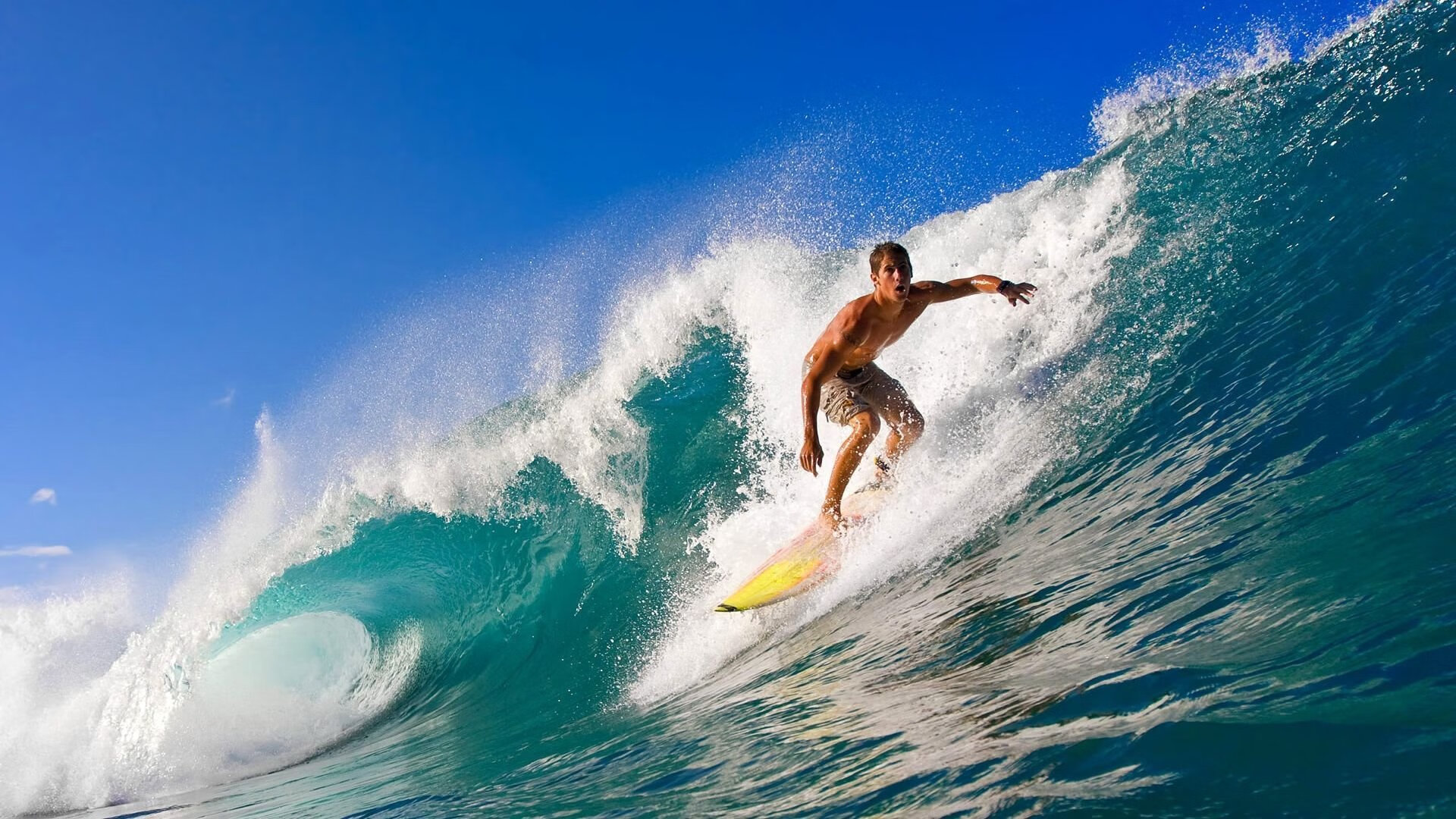 爱游戏体育app网页版下载-张雨霏参演纪录片讲述泳池故事，张雨霏泳状照