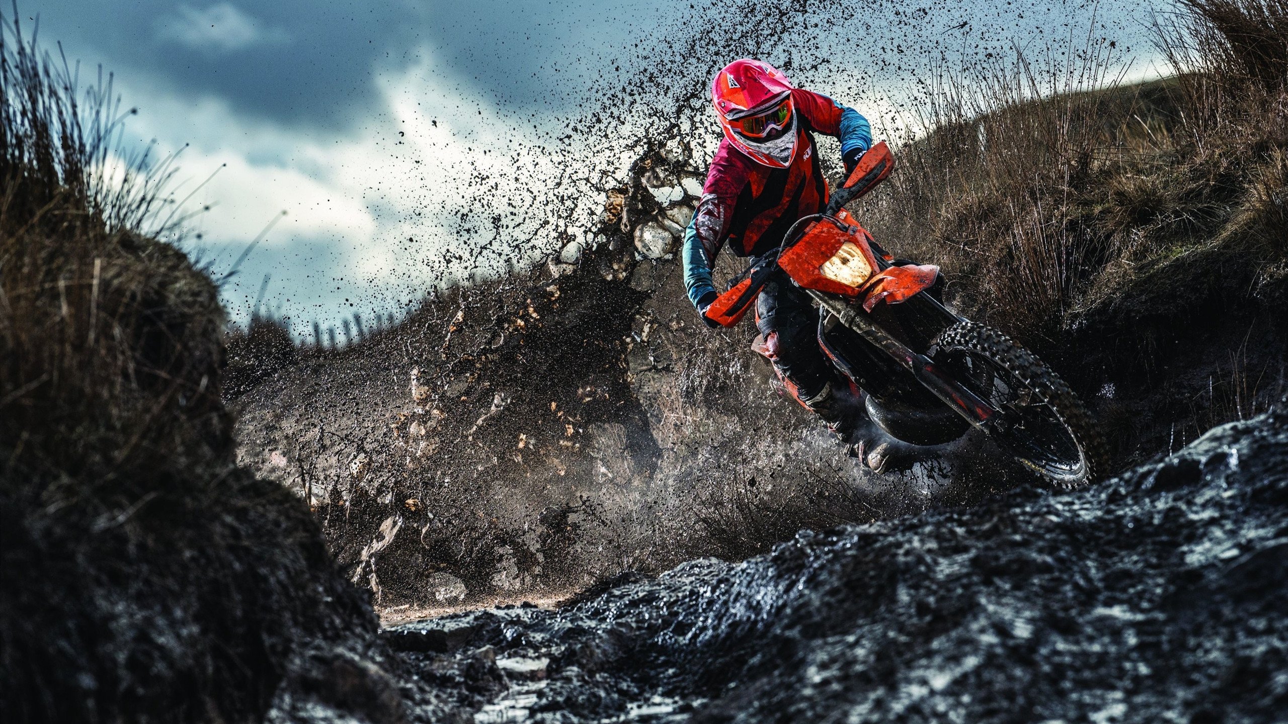 张雨霏参演纪录片讲述泳池故事，张雨霏泳状照